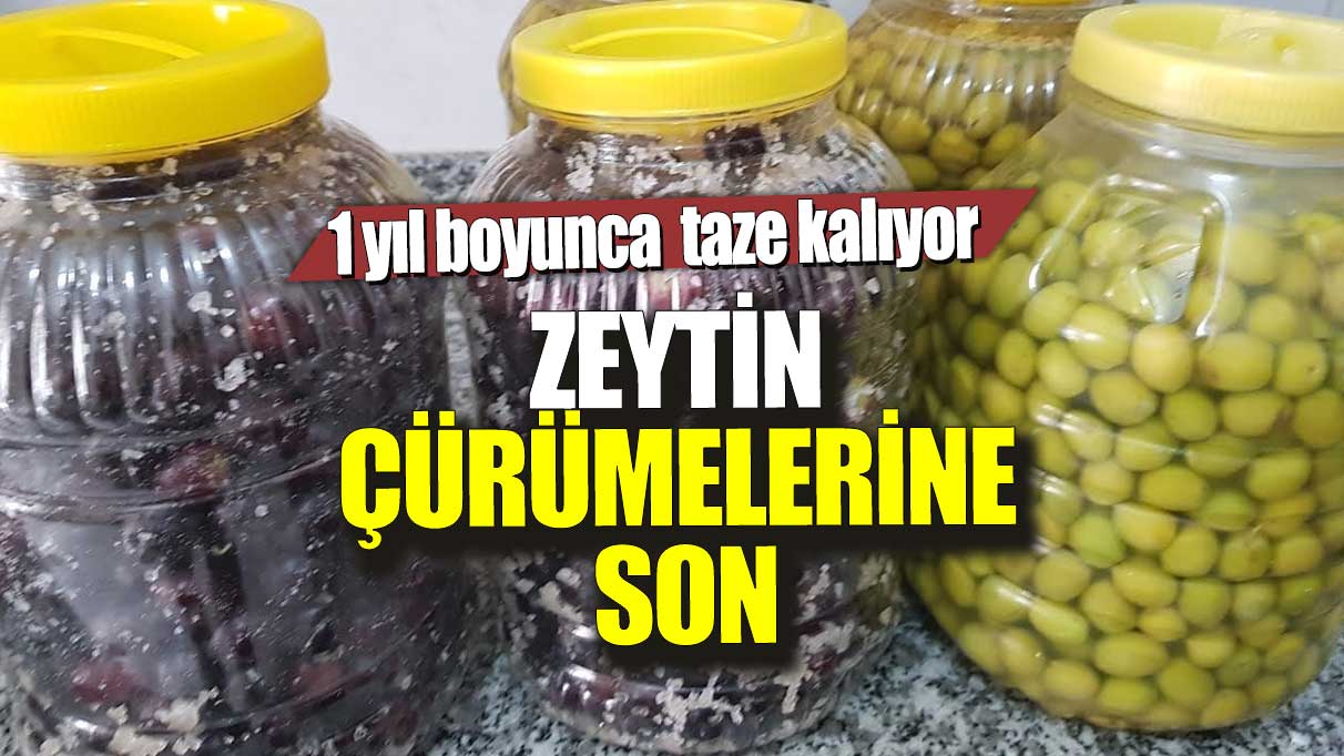 Zeytin çürümelerine son! 1 yıl boyunca taze kalıyor