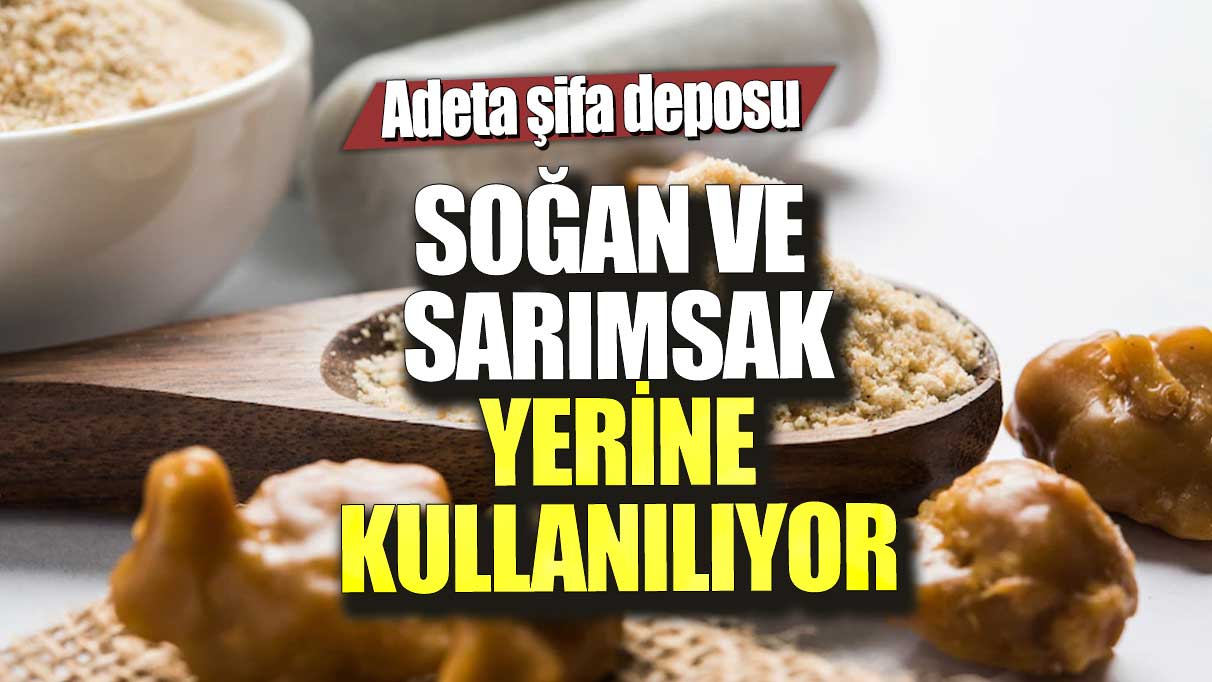 Soğan ve sarımsak yerine kullanılıyor!  Adeta şifa deposu