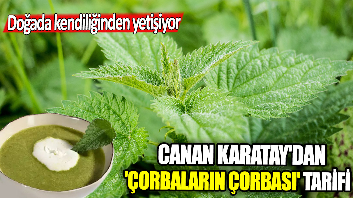 Doğada kendiliğinden yetişiyor: Canan Karatay'dan 'Çorbaların Çorbası' tarifi