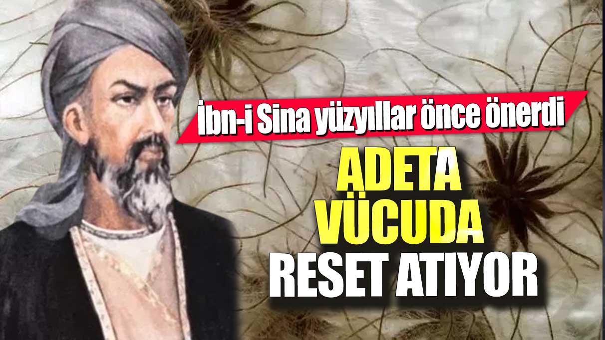 İbn-i Sina yüzyıllar önce önerdi: Bu sebze adeta vücuda reset atıyor