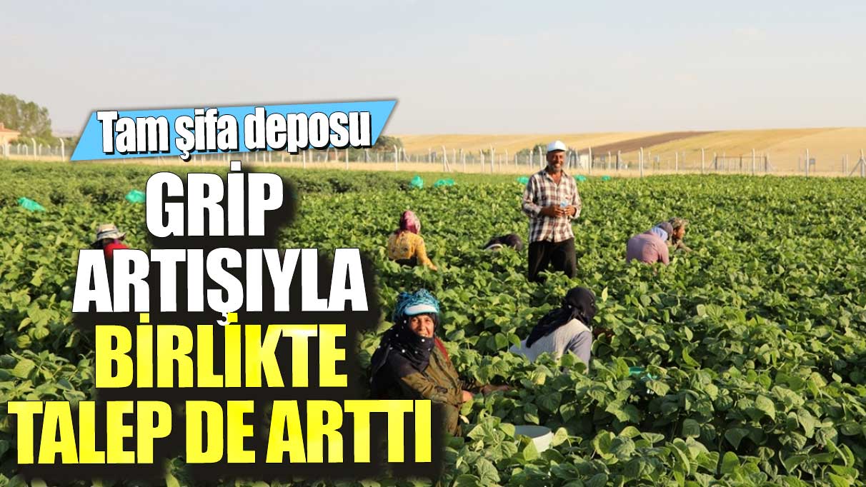 Grip artışıyla birlikte talep de arttı!  Tam şifa deposu