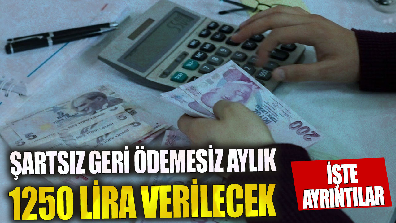 Şartsız geri ödemesiz aylık 1250 lira verilecek! İşte ayrıntılar