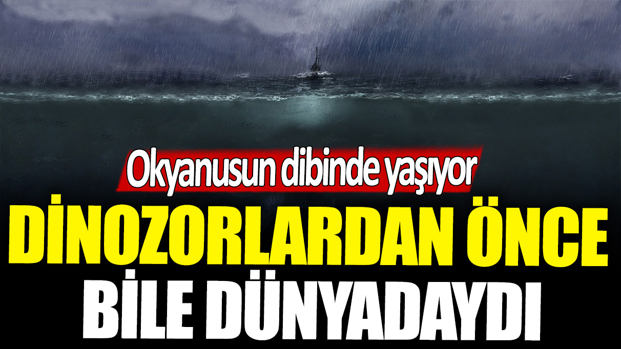 Okyanusun dibinde yaşıyor: Dinozorlardan daha yaşlı