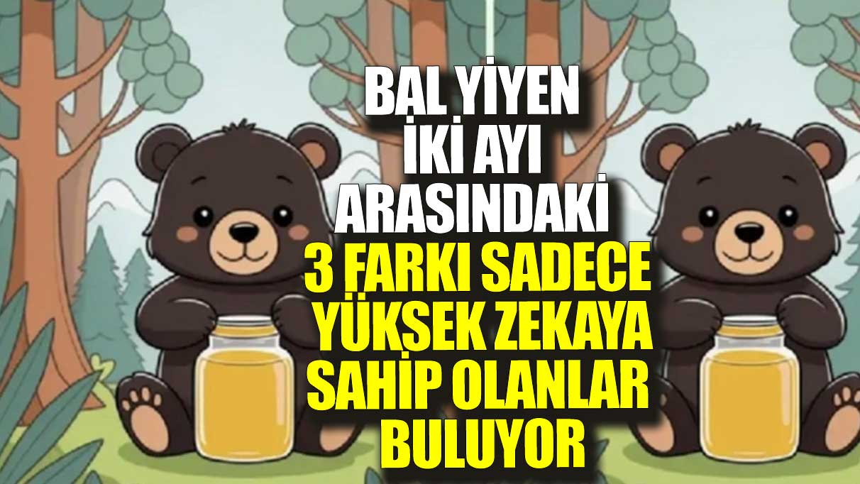 Bal yiyen iki ayı arasındaki 3 farkı sadece  yüksek zekaya sahip olanlar buluyor