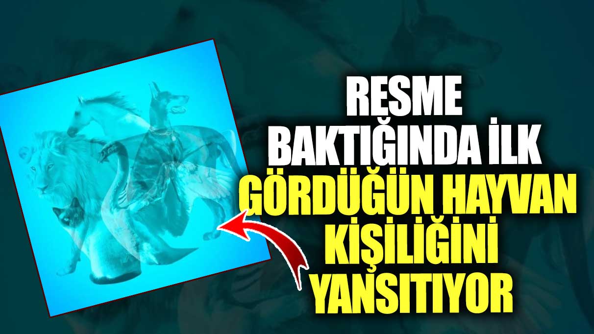 Resme baktığında ilk gördüğün hayvan kişiliğinin yansıtıyor