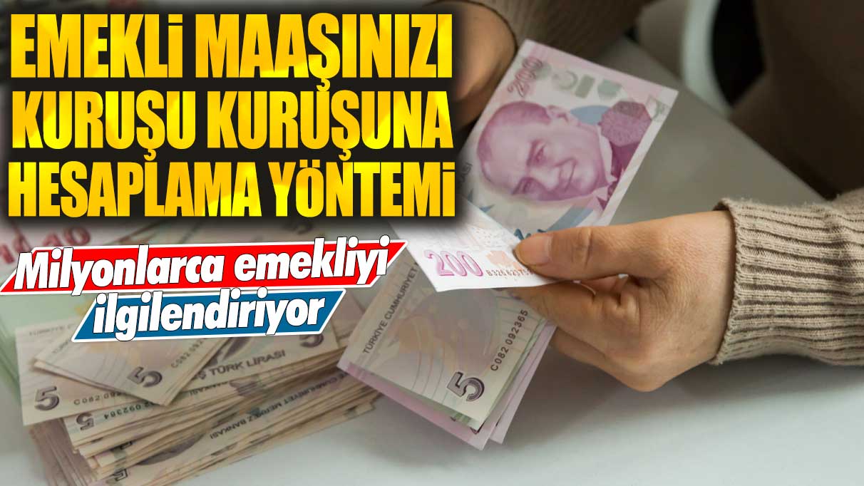 4A, 4B, 4C, SSK ve Bağ-Kur'lu olan milyonları ilgilendiriyor! Emekli maaşınızı kuruşu kuruşuna hesaplama yöntemi