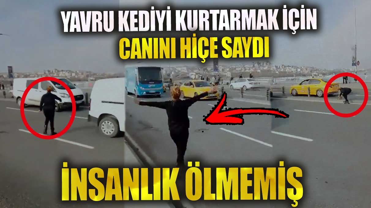 Yavru kediyi kurtarmak için canını hiçe saydı! İnsanlık ölmemiş