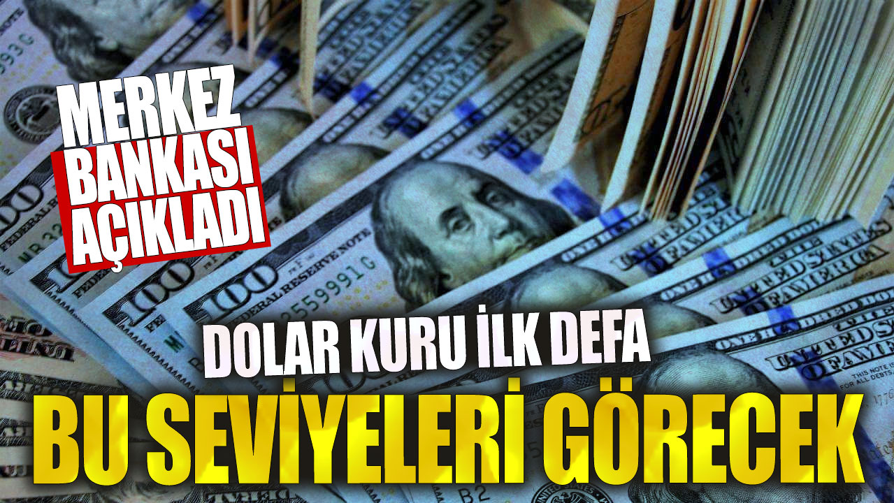 Merkez bankası açıkladı! Dolar kuru ilk defa bu seviyeleri görecek