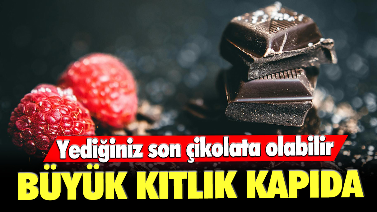 Yediğiniz son çikolata olabilir: Büyük kıtlık kapıda