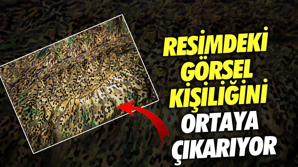 Resimdeki görsel kişiliğini ortaya çıkarıyor! Bakalım siz hangi hayvanı göreceksiniz