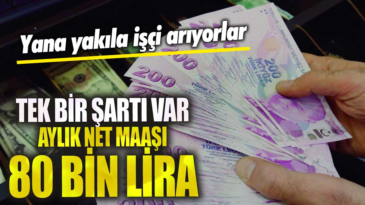 Aylık net maaşı 80 bin lira yana yakıla işçi arıyorlar!  Tek bir şartı var