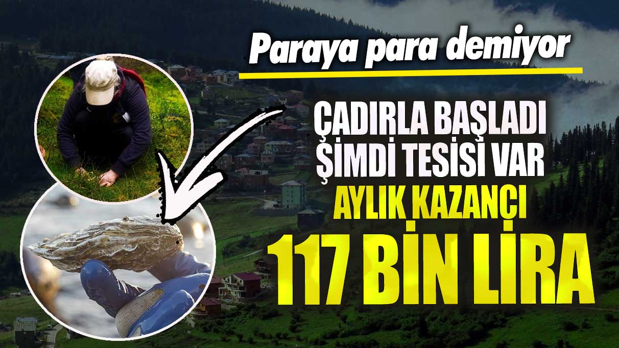 Aylık kazancı 117 bin lira çadırla başladı şimdi tesisi var! Paraya para demiyor