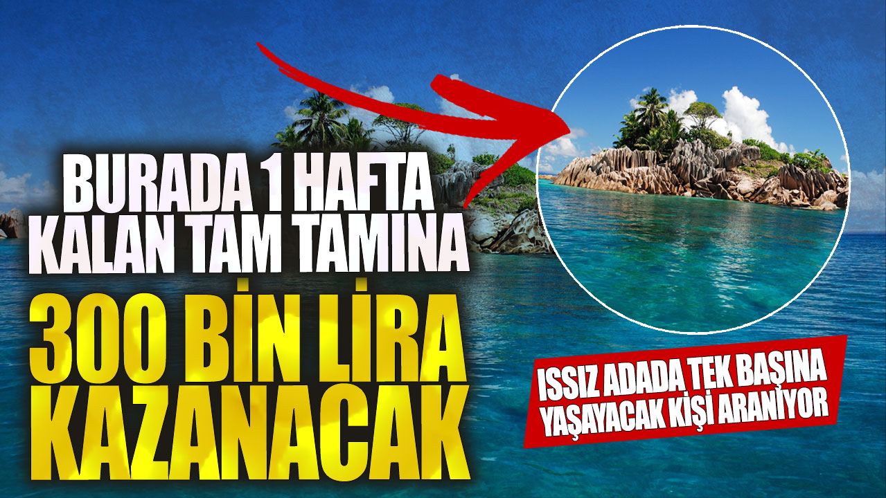 Issız adada tek başına yaşayacak kişi aranıyor! Burada 1 hafta kalan tam tamına 300 bin lira kazanacak