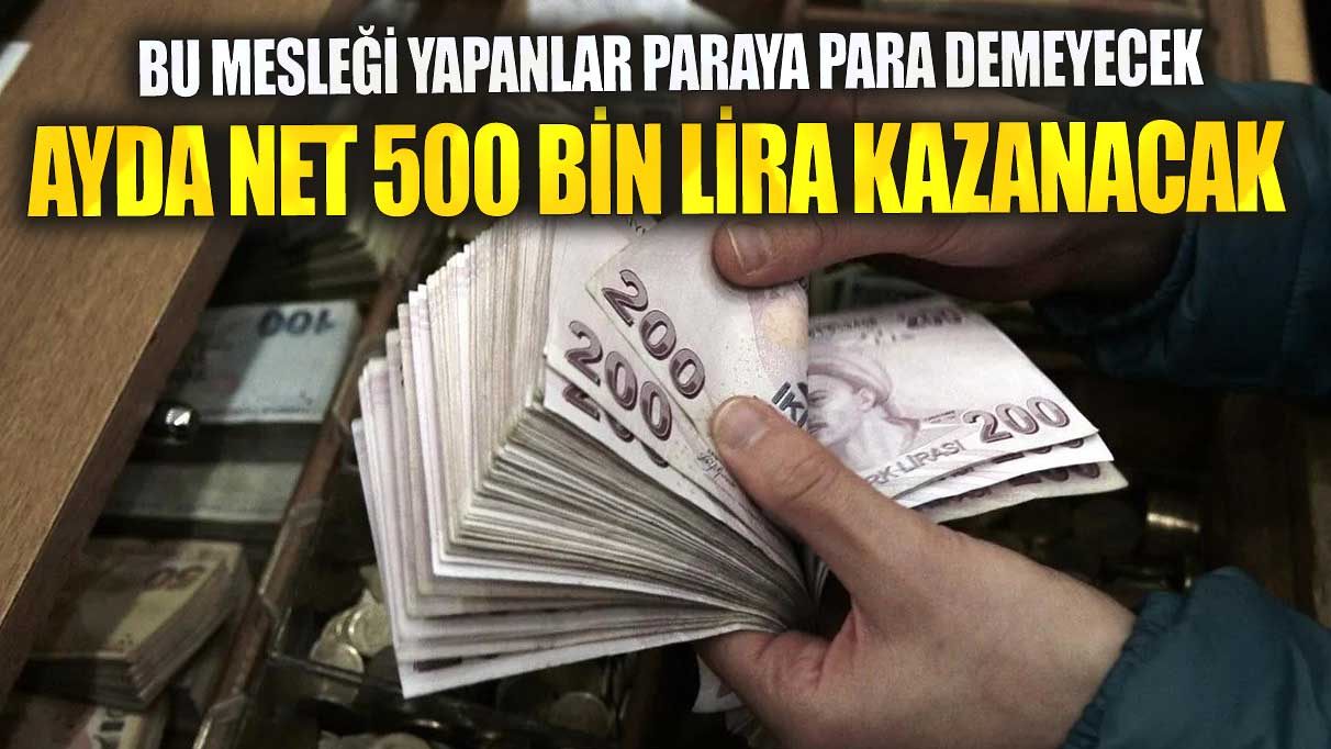 Ayda net 500 bin lira kazanacak! Bu mesleği yapanlar paraya para demeyecek