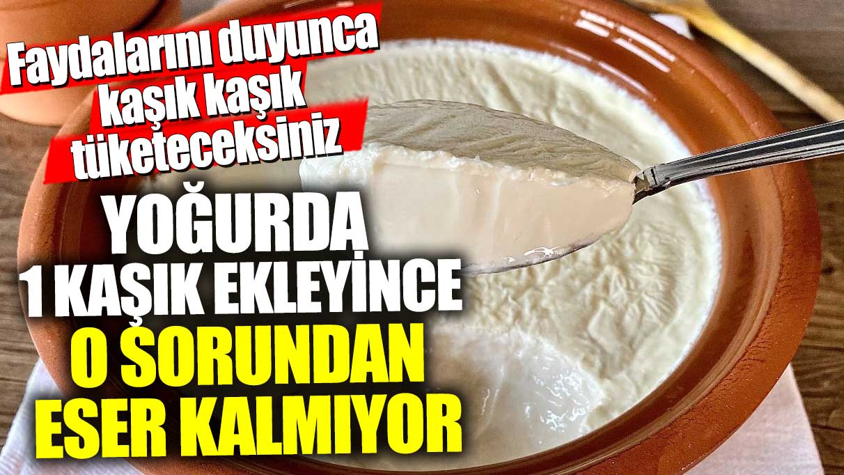 Faydalarını duyunca kaşık kaşık tüketeceksiniz! Yoğurda 1 kaşık ekleyince o sorundan eser kalmıyor