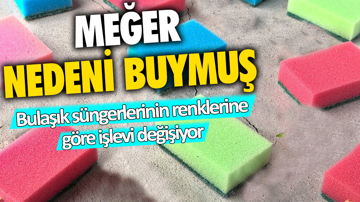 Meğer bu yüzden süngerlerin rengi farklıymış... Hepsinin bir anlamı var