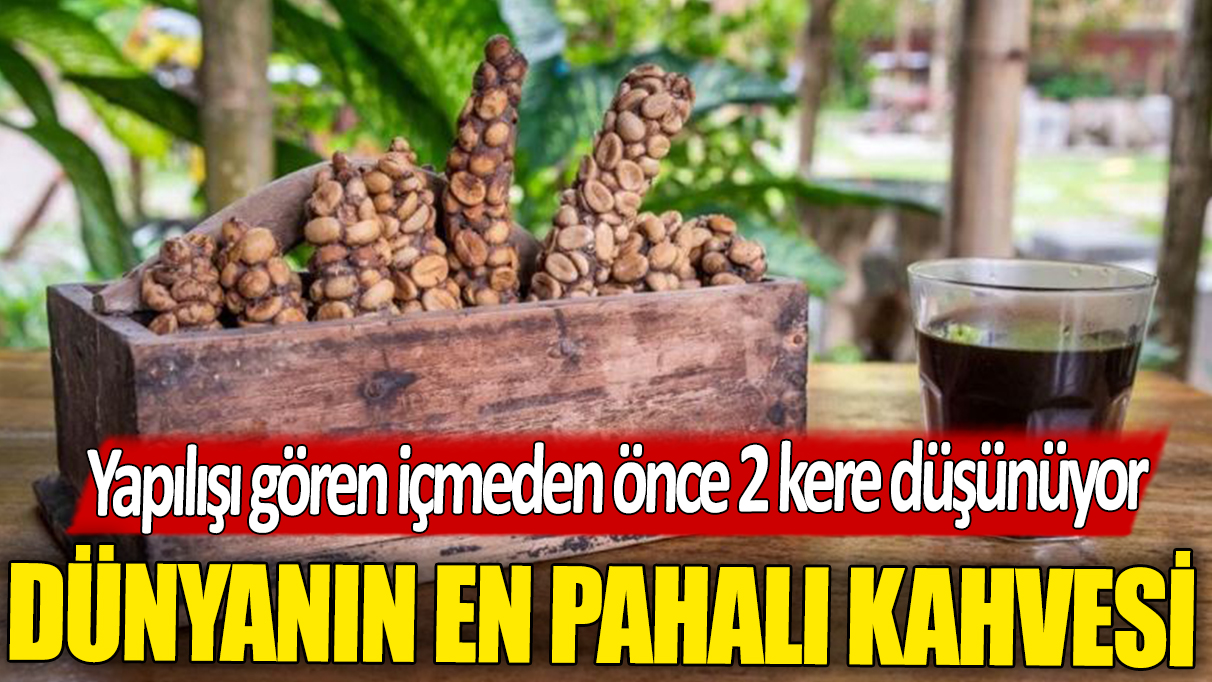 Dünyanın en pahalı kahvesi: Kedi dışkısından yapılıyor! İnsanlar içmek için sıraya giriyor