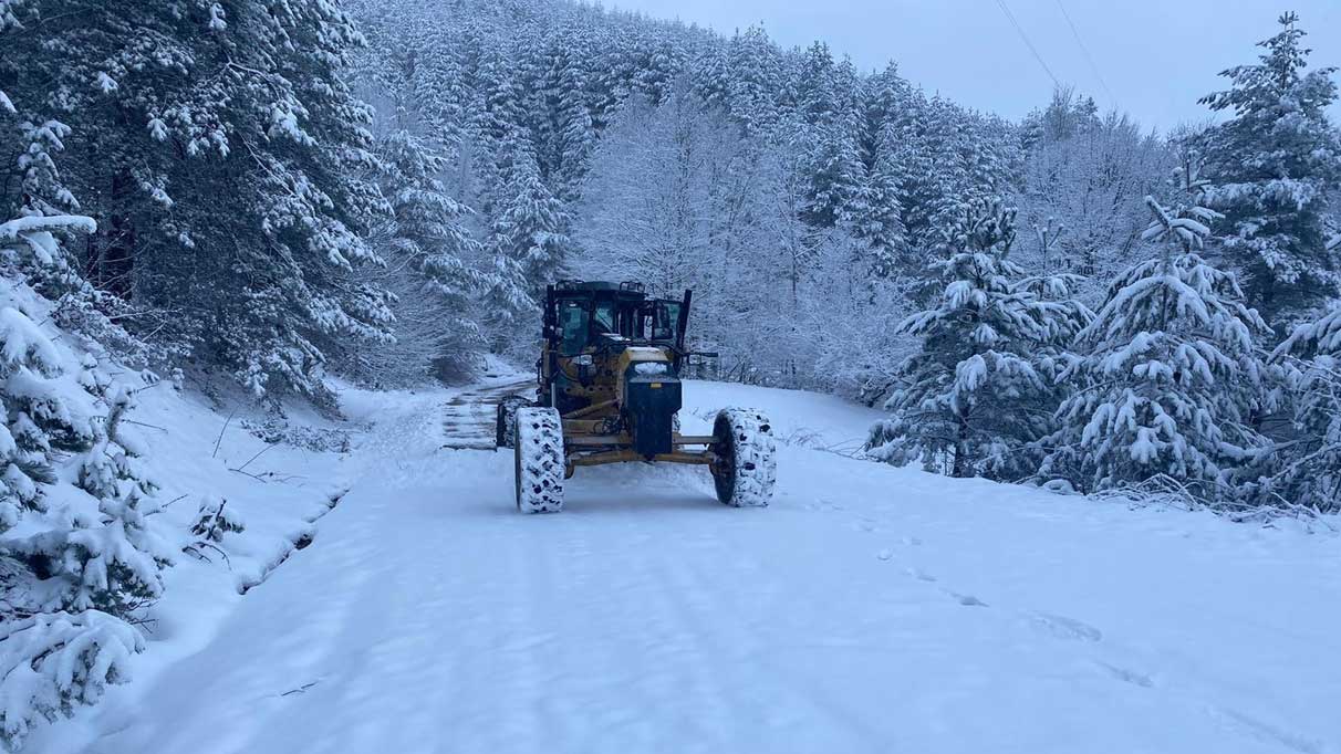 Kar yağışı etkisini gösterdi! Bu ilde 24 köy yolu kapandı