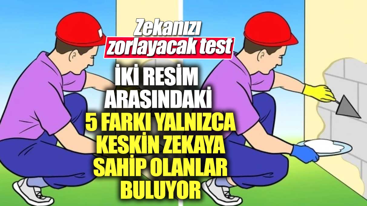 Zekanızı zorlayacak test! İki resim arasındaki 5 farkı yalnızca keskin zekaya sahip olanlar buluyor