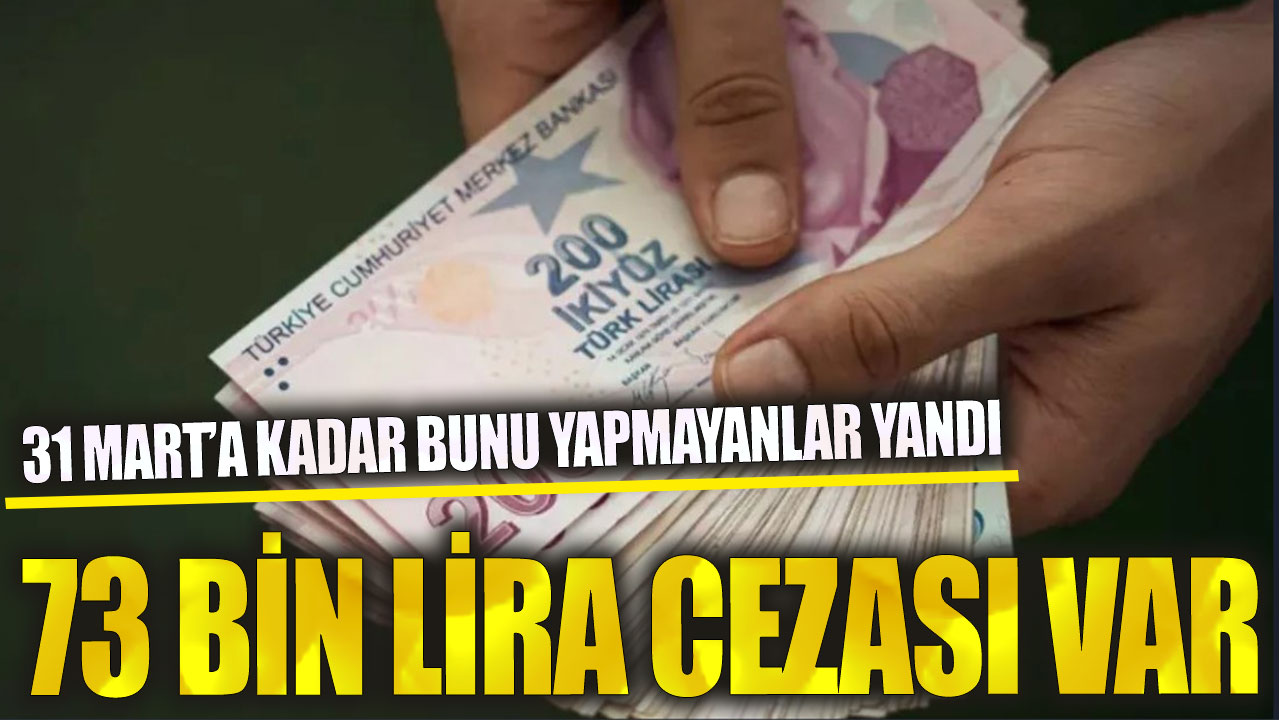 31 Mart’a kadar bunu yapmayanlar yandı!  73 bin lira cezası var