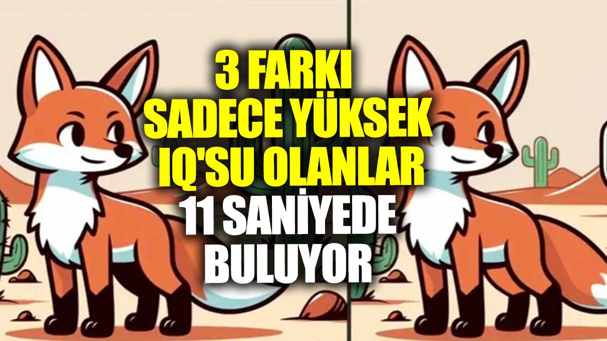 3 farkı sadece yüksek IQ'su olanlar 11 saniyede buluyor