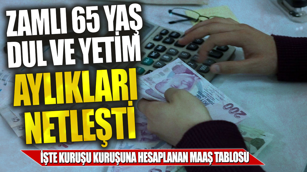 Zamlı 65 yaş, dul ve yetim aylıkları netleşti! İşte kuruşu kuruşuna hesaplanan maaş tablosu