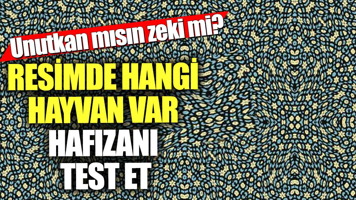 Unutkan mısın zeki mi?  Resimde hangi hayvan var hafızanı test et