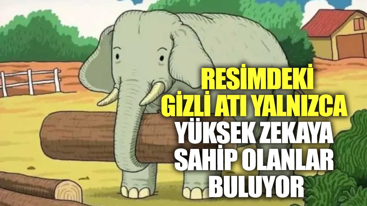 Resimdeki gizli atı yalnızca yüksek zekaya sahip olanlar buluyor