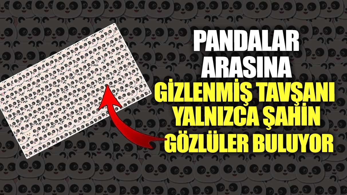 Pandalar arasına gizlenmiş tavşanı yalnızca şahin gözlüler buluyor