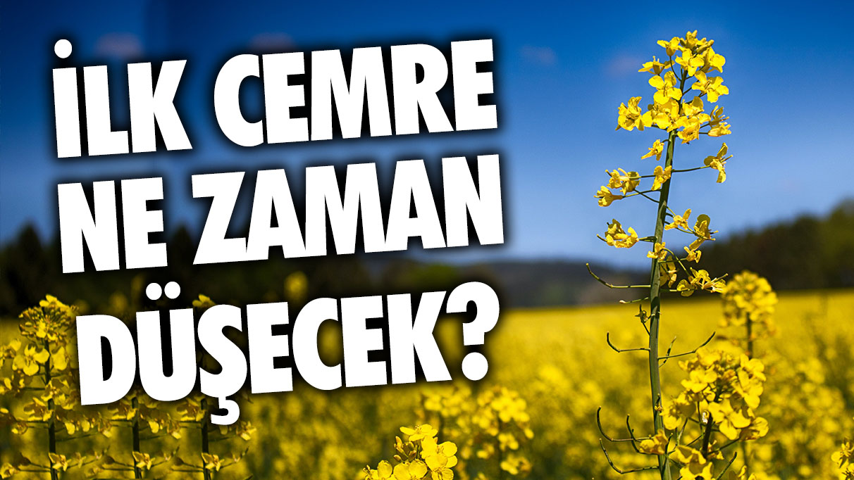 İlk cemre ne zaman düşecek 2024? İlk cemre nereye düşecek? Cemre düşmesi ne demek?