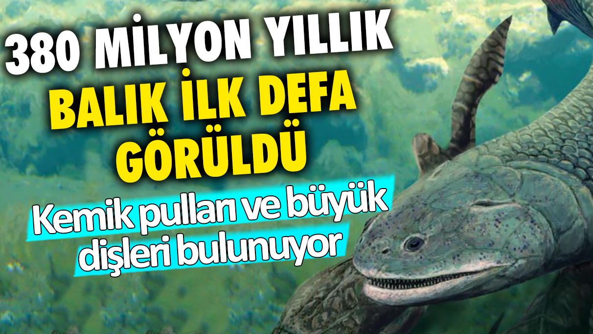 380 milyon yıllık balık İlk defa görüldü: Kemik pulları ve büyük dişleri bulunuyor