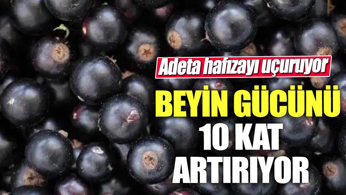 Beyin gücünü 10 kat artırıyor!  Adeta hafızayı uçuruyor