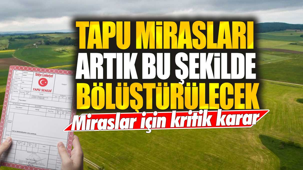 Tapu mirasları artık bu şekilde bölüştürülecek! Miraslar için kritik karar