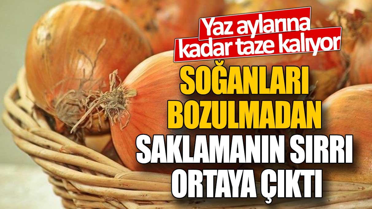 Soğanları bozulmadan saklamanın sırrı ortaya çıktı!  Yaz aylarına kadar taze kalıyor