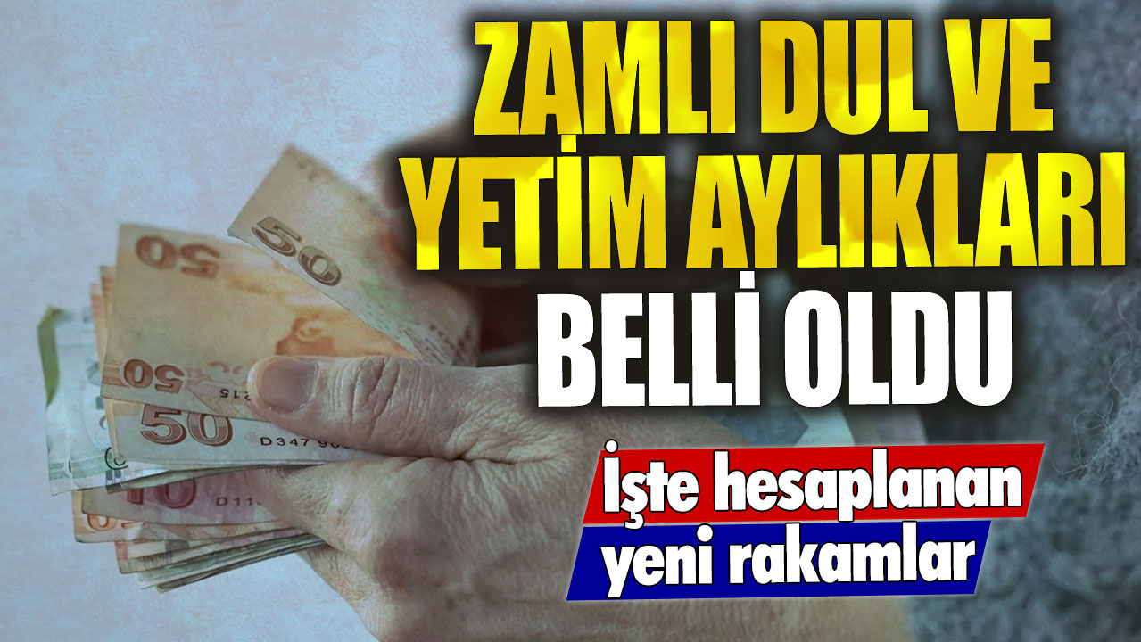 Zamlı dul ve yetim aylıkları belli oldu! İşte kuruşu kuruşuna hesaplanan 2024 maaş aylığı tablosu