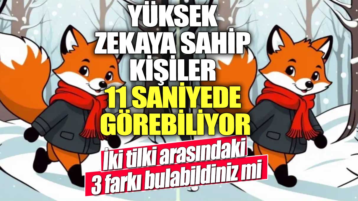 Kışlık kıyafetleri ile dolaşan iki tilki arasındaki 3 farkı bulabildiniz mi?  Yüksek zekaya sahip kişiler 11 saniyede görebiliyor