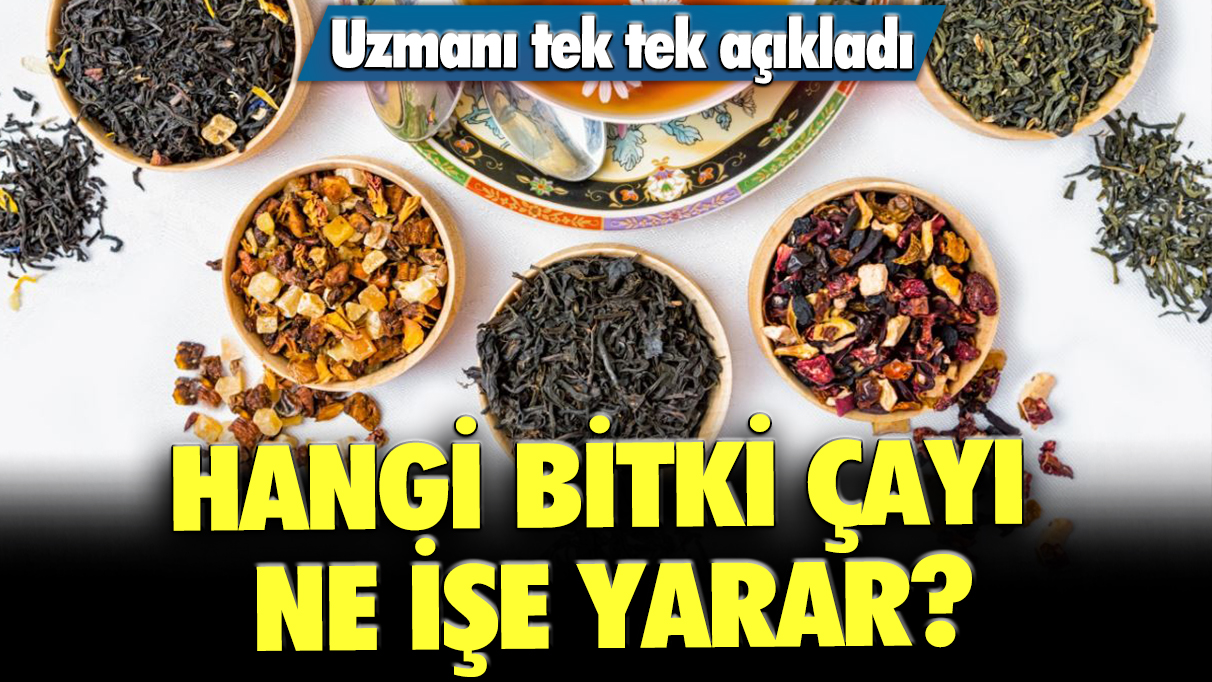 Uzmanı tek tek açıkladı: Hangi bitki çayı ne işe yarar?