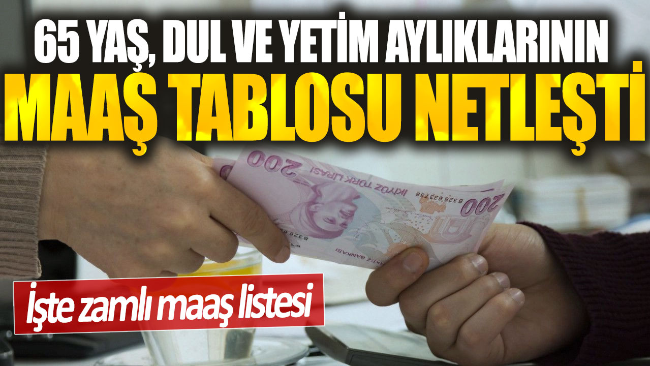 65 yaş, dul ve yetim aylıklarının maaş tablosu netleşti! İşte zamlı maaş listesi