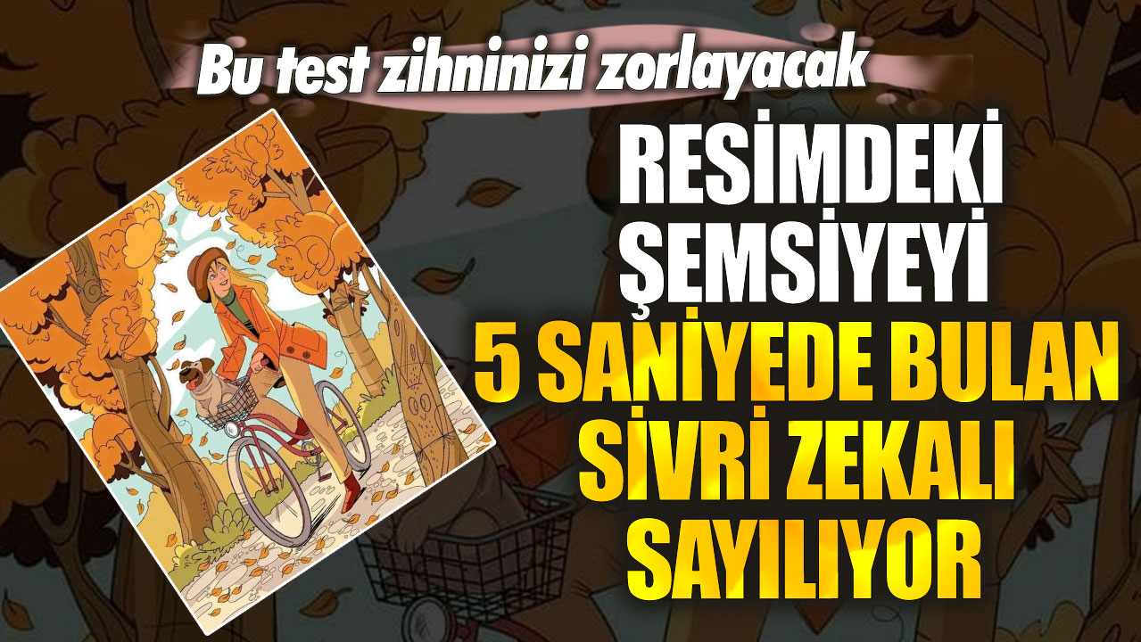 Bu test zihninizi zorlayacak! Resimdeki şemsiyeyi 5 saniyede bulan sivri zekalı sayılıyor