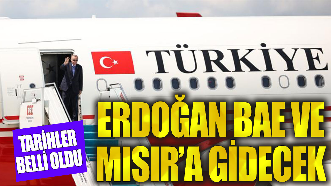 Cumhurbaşkanı Erdoğan BAE ve Mısır'a gidecek