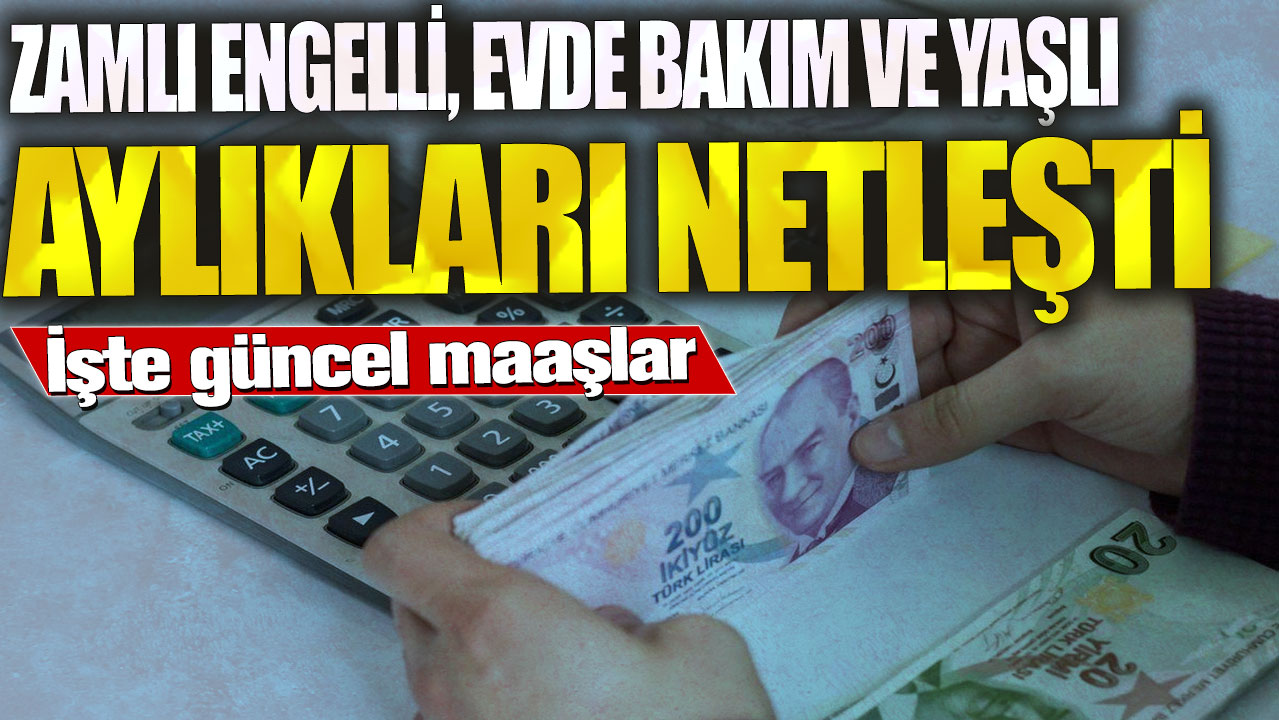 Zamlı engelli, evde bakım ve yaşlı aylıkları netleşti! İşte güncel maaşlar