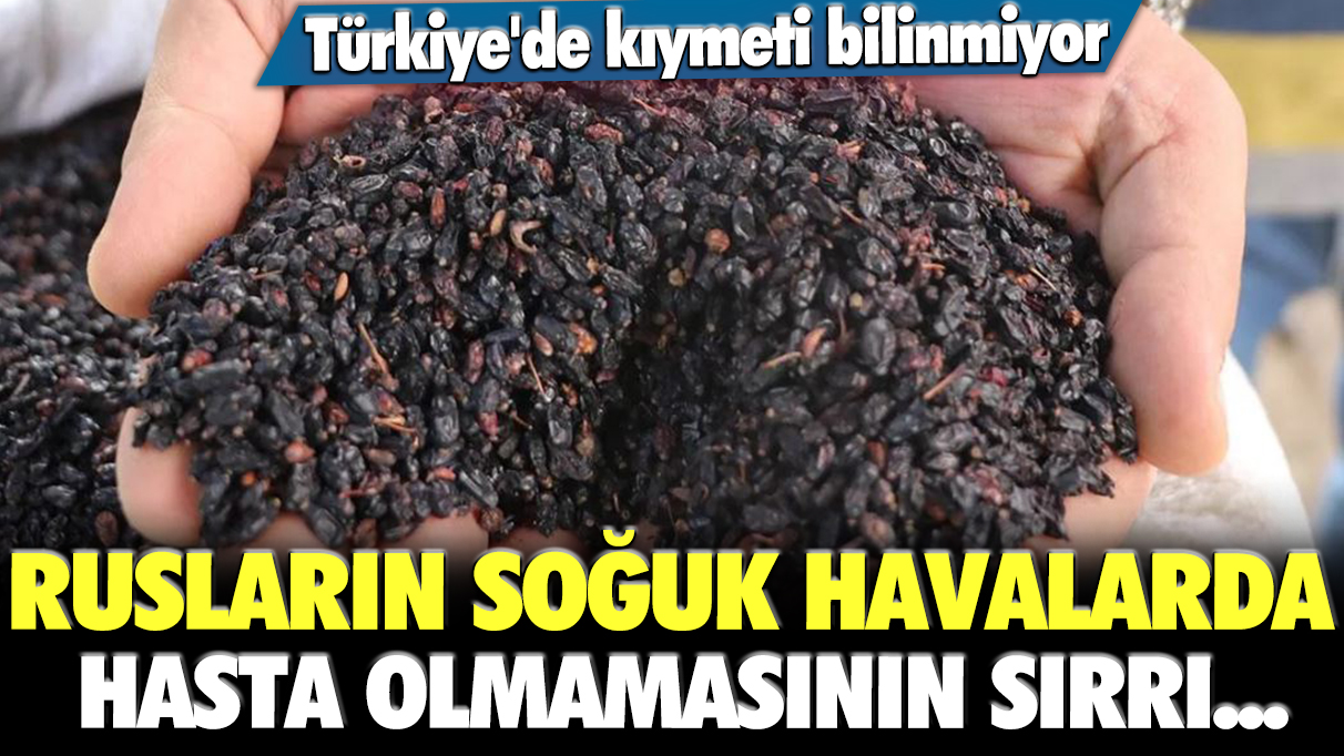 Türkiye'de kıymeti bilinmiyor: Rusların soğuk havalarda hasta olmamasının sırrı...