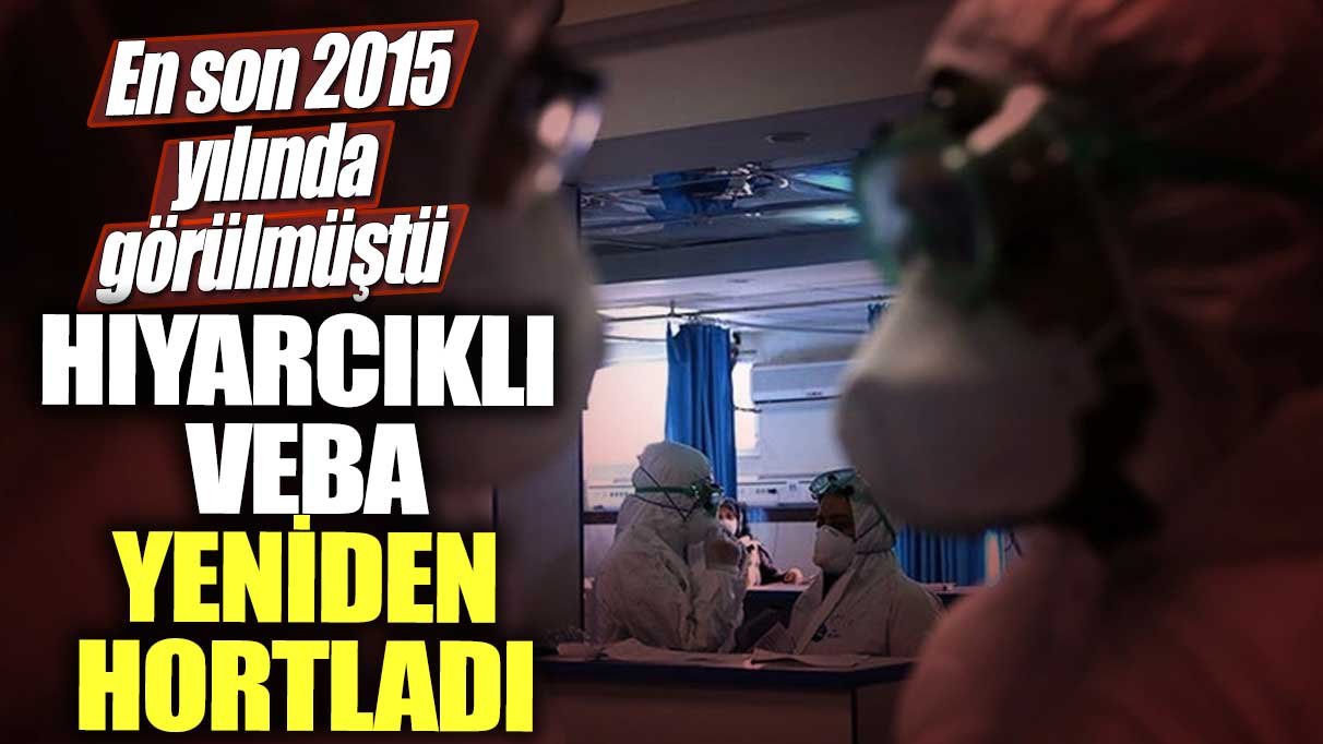 En son 2015 yılında benzer bir vaka görülmüştü!  Hıyarcıklı veba yeniden hortladı