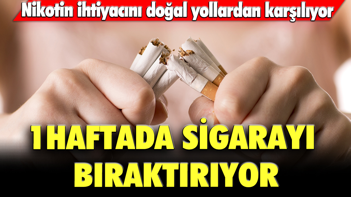 1 haftada sigarayı bıraktırıyor: Nikotin ihtiyacını doğal yollardan karşılıyor