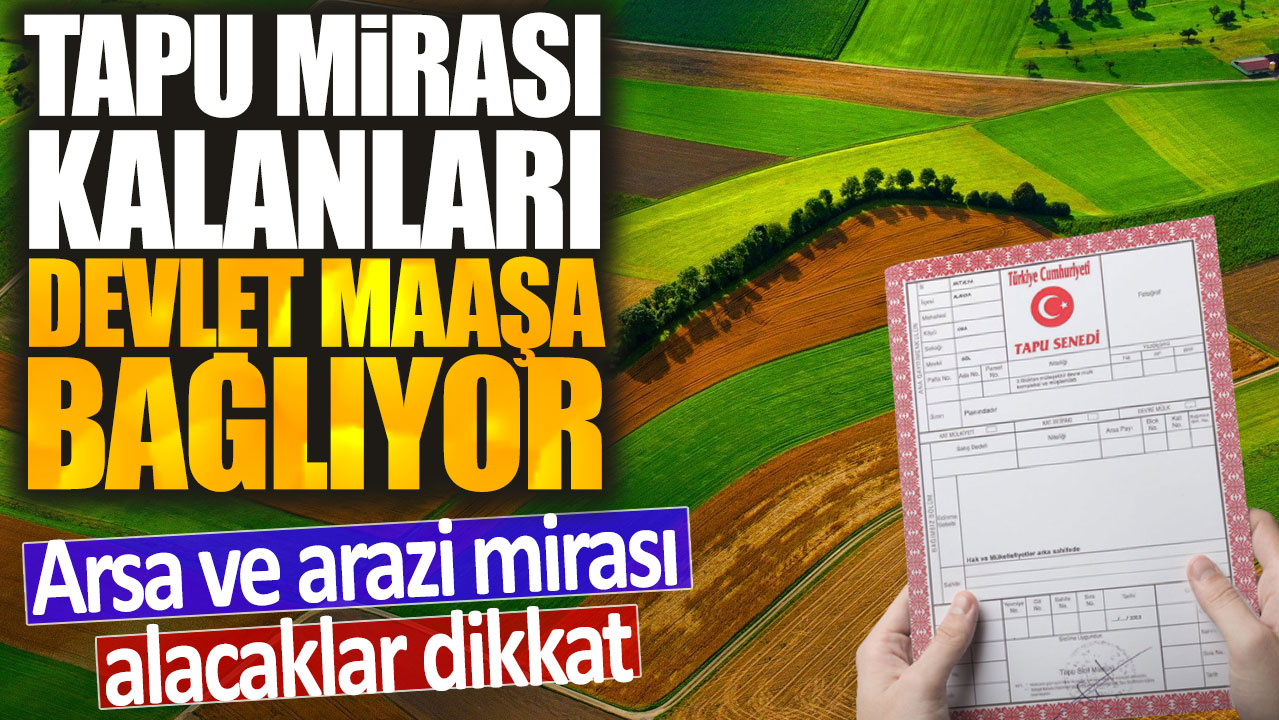 Tapu mirası kalanları devlet maaşa bağlıyor: Arsa ve arazi mirası alacaklar dikkat