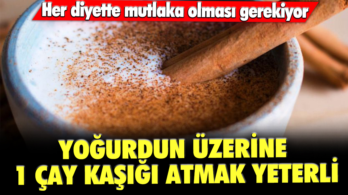 Her diyette mutlaka olması gerekiyor: Yoğurdun üzerine 1 çay kaşığı atmak yeterli