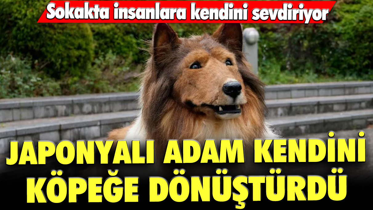 Adam köpeğe dönüştü: Sokakta insanlara kendini sevdiriyor!