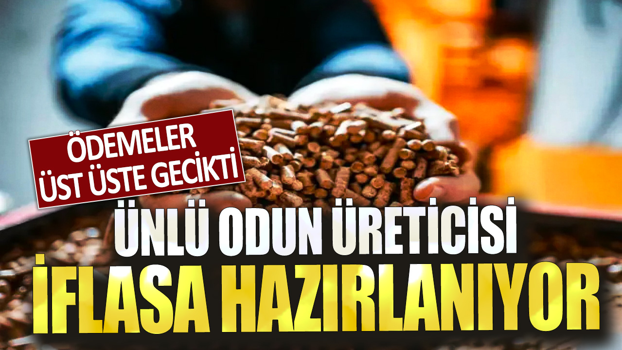 Ödemeler üst üste gecikti: Ünlü odun üreticisi iflasa hazırlanıyor