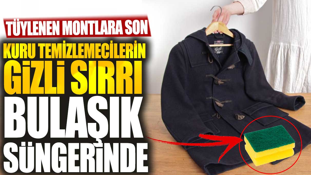 Tüylenen montlara son! Kuru temizlemecilerin gizli sırrı bulaşık süngerinde