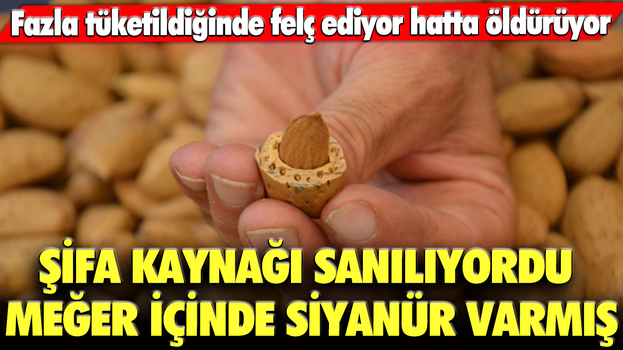 Şifa kaynağı olduğu sanılıyordu, meğer içinde siyanür varmış! Fazla tüketildiğinde felç ediyor, hatta öldürüyor...